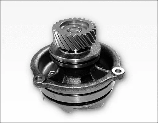 Water Pump, engine cooling (P1179)