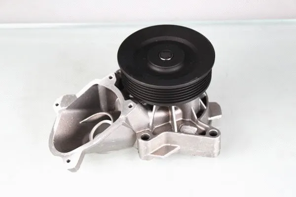 Water Pump, engine cooling (P487)
