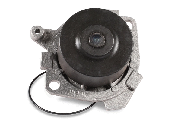 Water Pump, engine cooling (P1012)