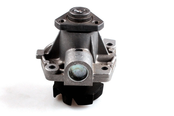 Water Pump, engine cooling (P065)