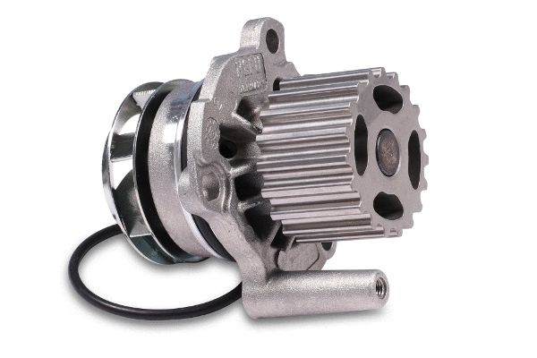 Water Pump, engine cooling (P569)
