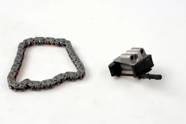 Timing Chain Kit (21-0256)