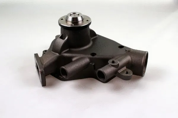 Water Pump, engine cooling (P9939)