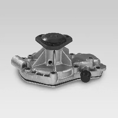 Water Pump, engine cooling (P840)