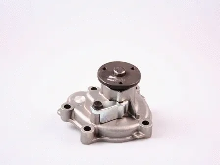 Water Pump, engine cooling (P7836)