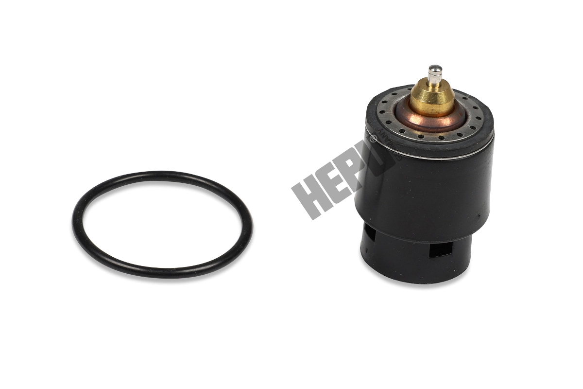 Thermostat, coolant (TM1241)