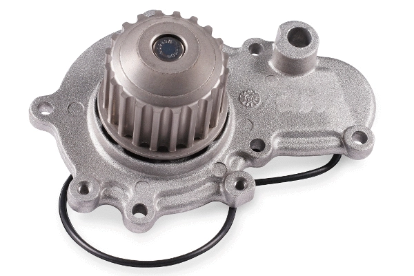 Water Pump, engine cooling (P1717)