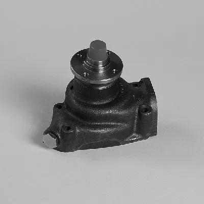 Water Pump, engine cooling (P7376)