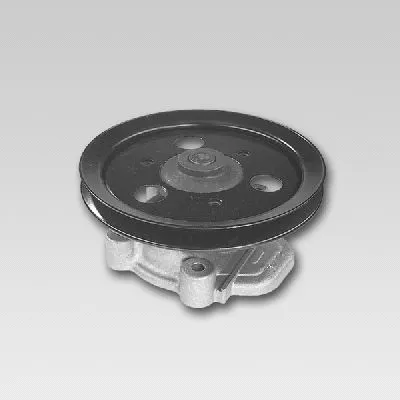 Water Pump, engine cooling (P787)