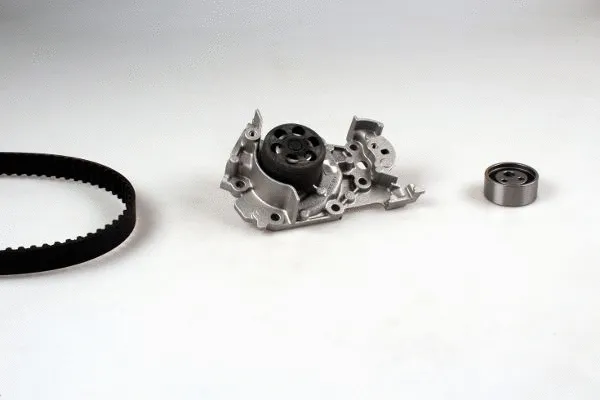 Water Pump & Timing Belt Kit (PK09541S)