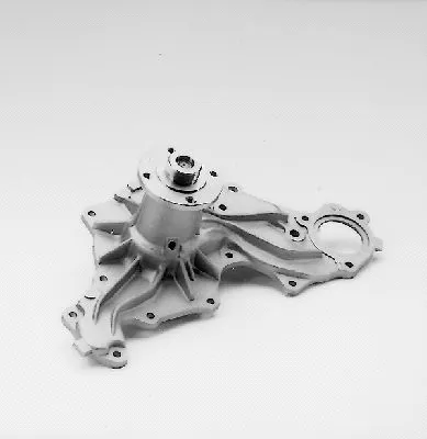 Water Pump, engine cooling (P221)