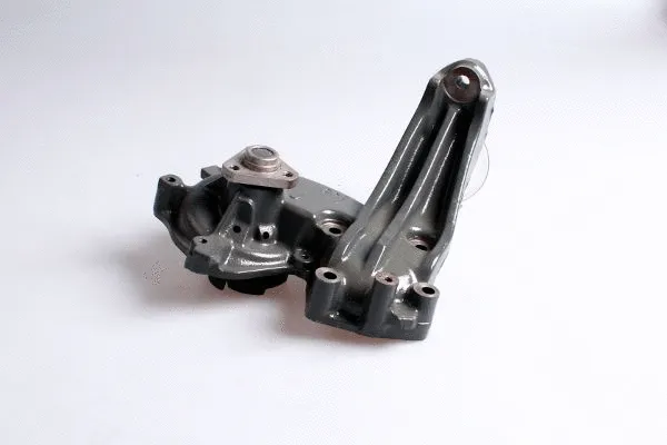 Water Pump, engine cooling (P1061S)