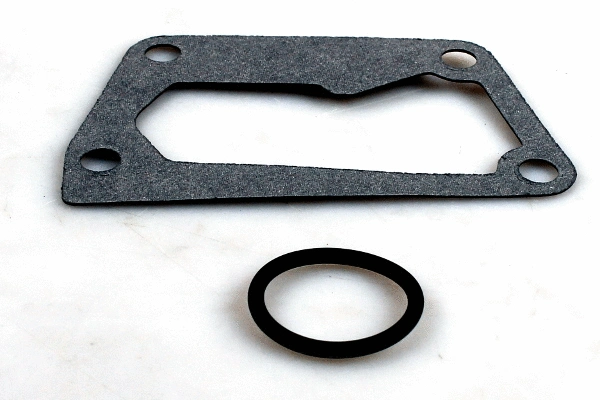 Water Pump, engine cooling (P1021)