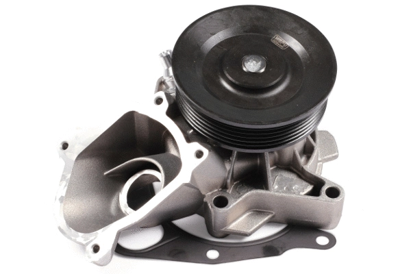Water Pump, engine cooling (P497)