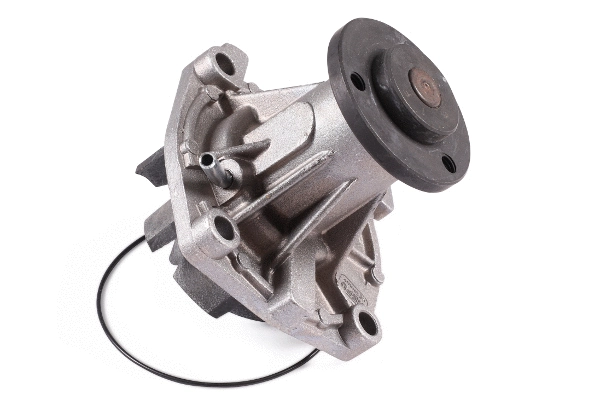 Water Pump, engine cooling (P345)
