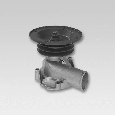 Water Pump, engine cooling (P833)