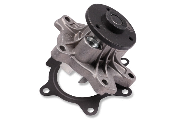 Water Pump, engine cooling (P7666)