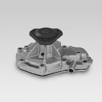 Water Pump, engine cooling (P824)