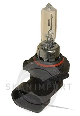 Bulb, spotlight (GL 7396)