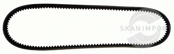 V-Belt (1A975)