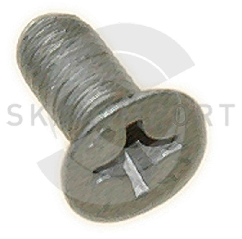 Bolt, brake disc (04.8301)