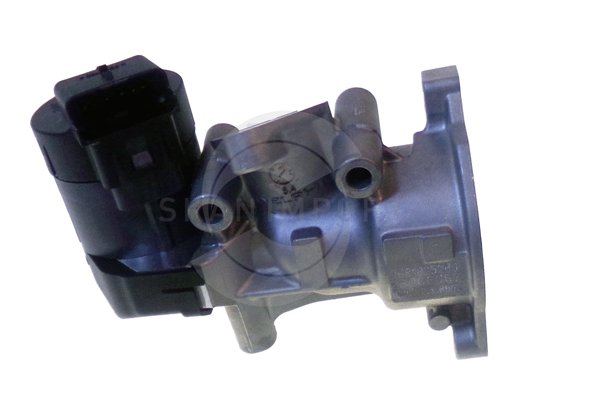 EGR Valve (01.0980)
