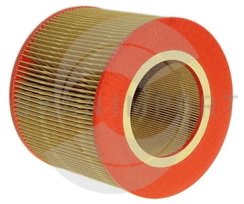 Air Filter (LF-2491)