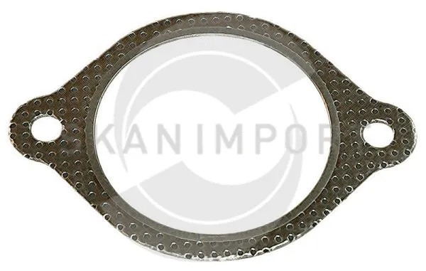 Gasket, exhaust pipe (08.9056)