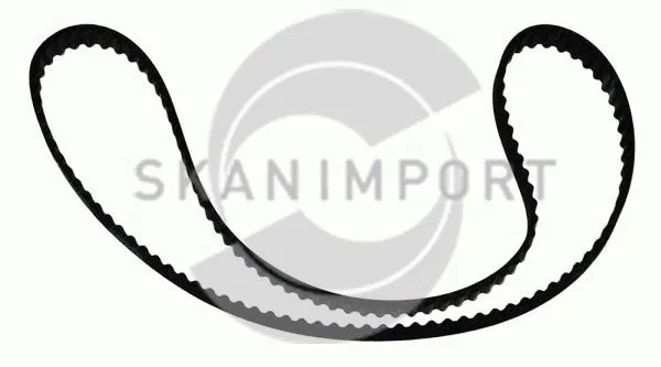 Timing Belt (ZR 0593)