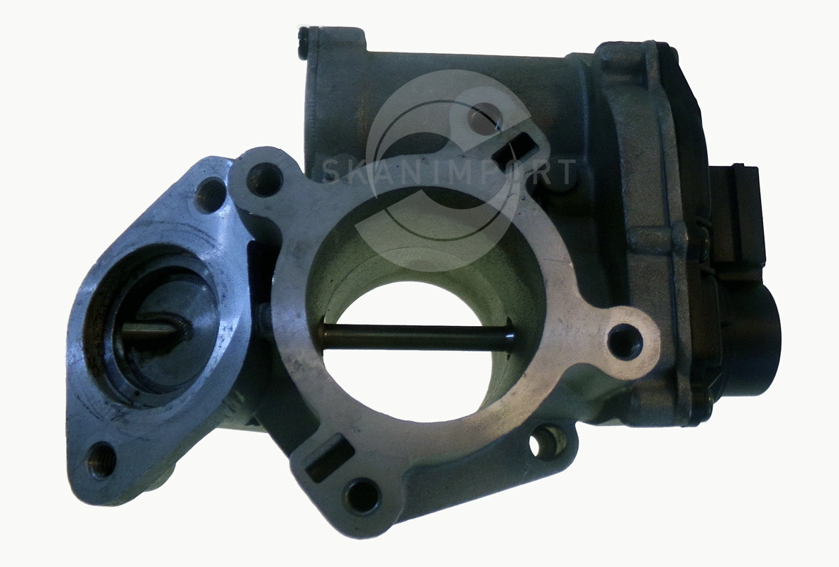 EGR Valve (001.8436)