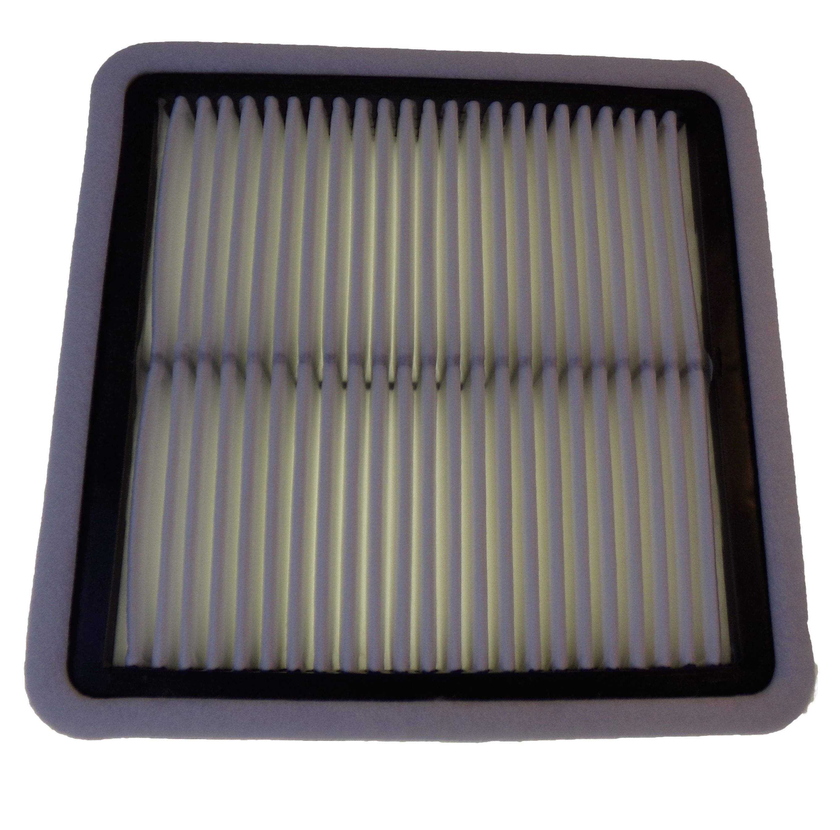 Air Filter (LFS-1000)