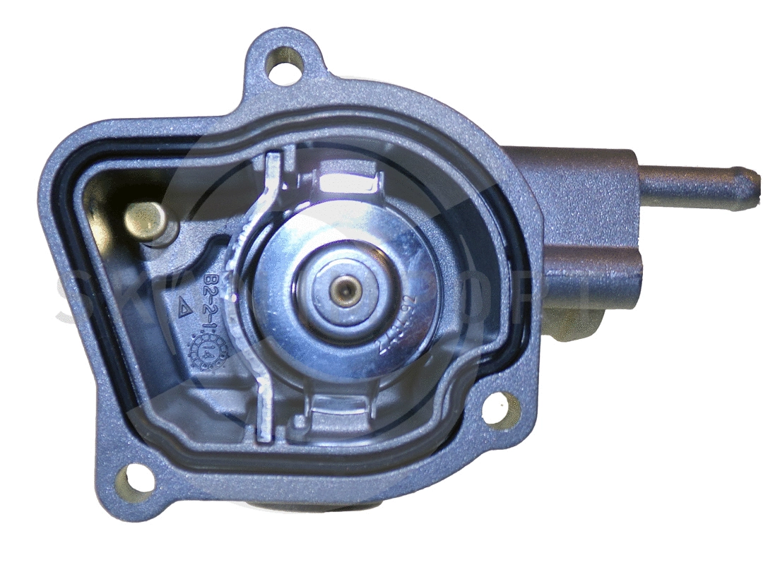 Thermostat, coolant