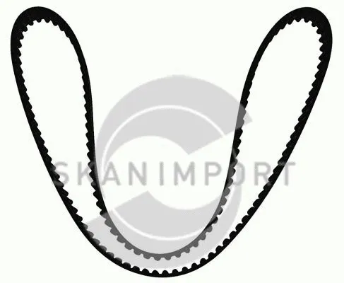 Timing Belt (ZR 7865)