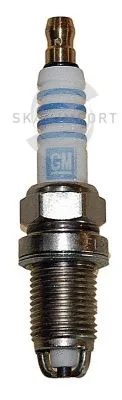 Spark Plug (FR 5109-1)