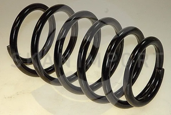 Suspension Spring (F 2351)