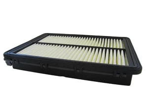 Air Filter (MD-8920)