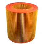 Air Filter (MD-304)