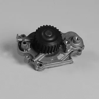 Water Pump, engine cooling (987816)