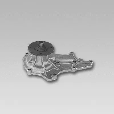 Water Pump, engine cooling (981720)
