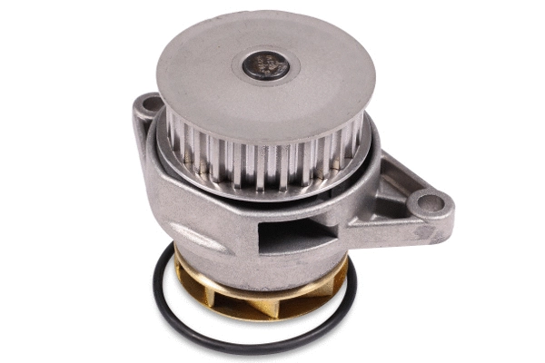 Water Pump, engine cooling (980139)