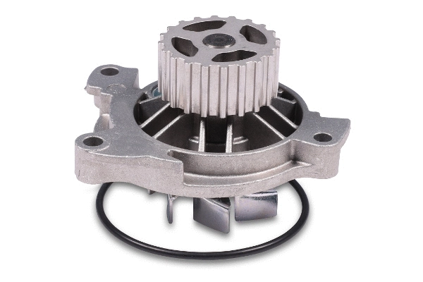 Water Pump, engine cooling (980189)