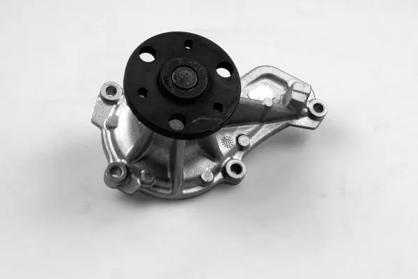 Water Pump, engine cooling (987843)