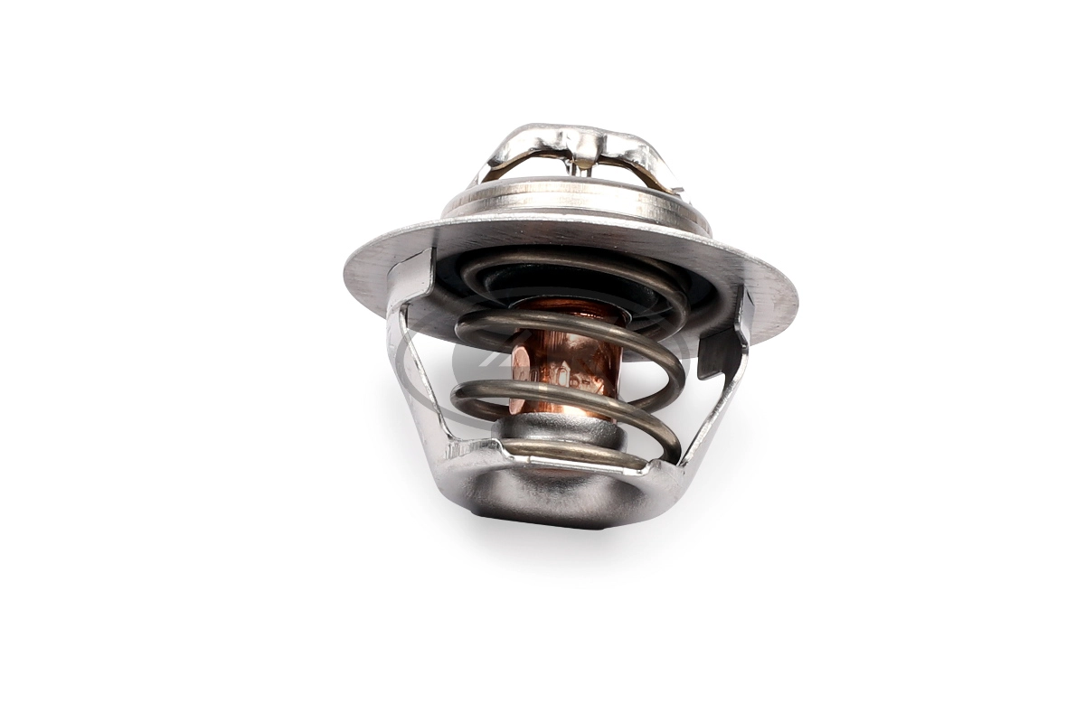 Thermostat, coolant (701327)
