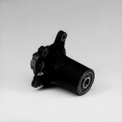 Water Pump, engine cooling (980428)