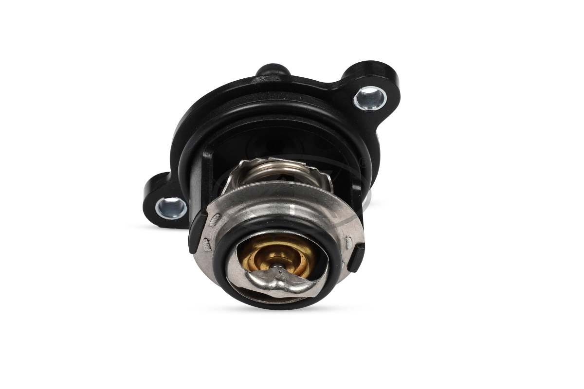 Thermostat, coolant
