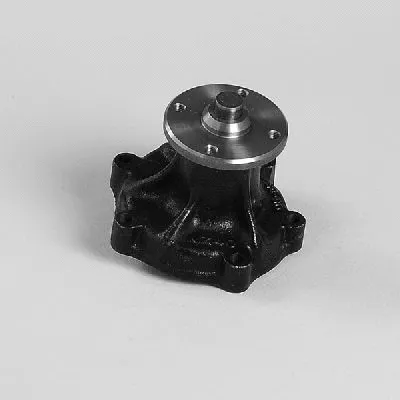 Water Pump, engine cooling (987128)