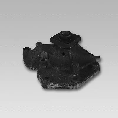 Water Pump, engine cooling (980722)