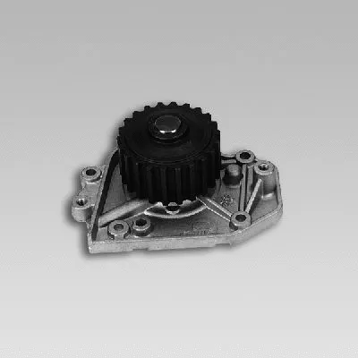 Water Pump, engine cooling (981784)