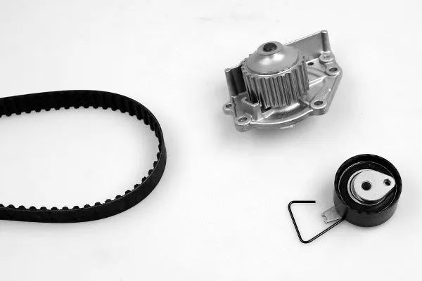 Water Pump & Timing Belt Kit (K984045B)