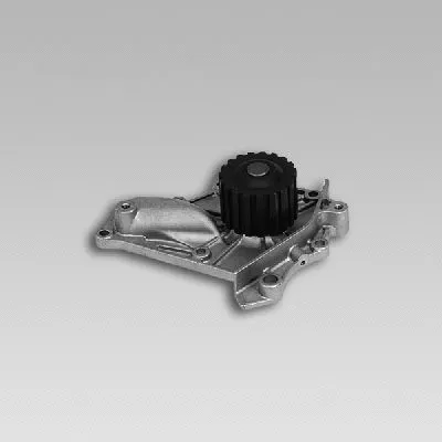 Water Pump, engine cooling (981721)